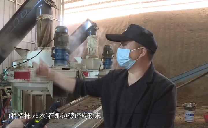 將桔桿、枯木在那邊破碎成粉末，然后經(jīng)過這兩個造粒機的碾壓，形成這種顆粒燃料出來，形成最后的產(chǎn)品.jpg