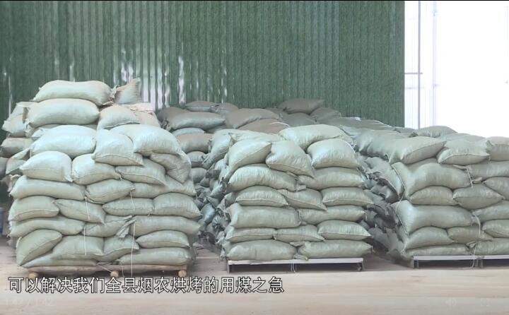 造粒機生產(chǎn)下來的生物質(zhì)燃料顆粒，可以解決全縣煙農(nóng)烘烤的用煤之急，用它替代煤來烤煙，可以解決2萬畝烤煙的烘烤燃料.jpg