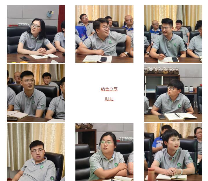銷售精英們結(jié)合自己特點(diǎn)進(jìn)行工作匯報(bào)。.jpg